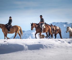 7.CAVALLO INVERNO